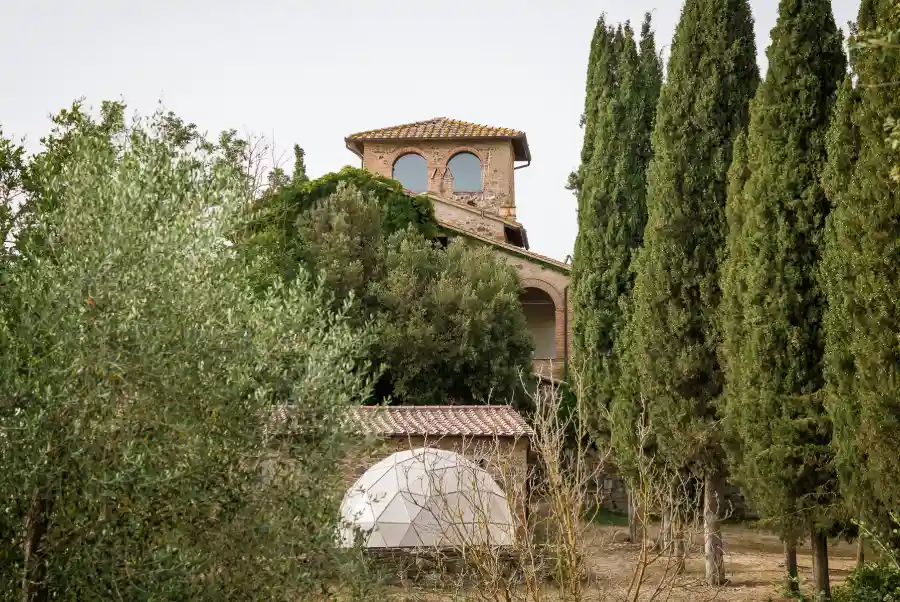 botti Lisini antiche