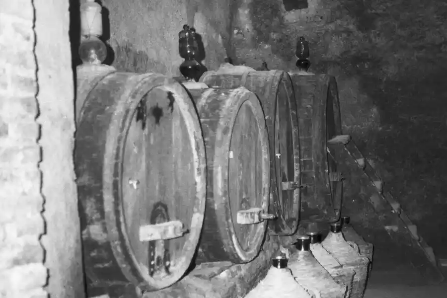 botti Lisini antiche